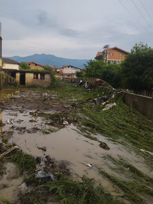  Берковица след потопа Снимка: Facebook/Р. Йорданова 