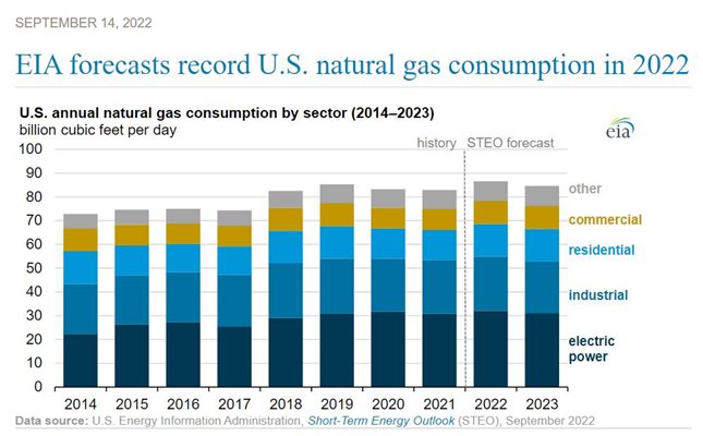 Докато Европа се гърчи за енергия, САЩ с рекорд в потреблението на газ