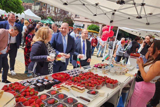 Заместник-министър Георгиева: Площите с ягоди в община Кричим се увеличиха с 20 % (Снимки)