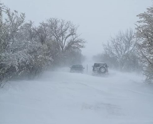 СНИМКА: Архив/фейсбук