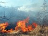 Започват масови проверки за паленето на огън в гори и планини