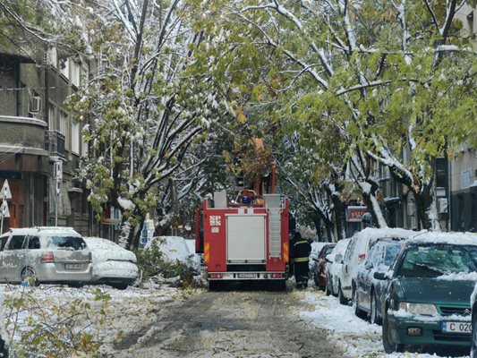 Екипи на пожарната разчистват падналите клони
Снимка: Георги Кюрпанов- Генк