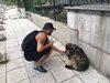 Азис призова да се  грижим за бездомните  кучета в жегите