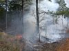 Голям пожар бушува в парк „Бакаджика” в Ямбол, подозират умишлен палеж