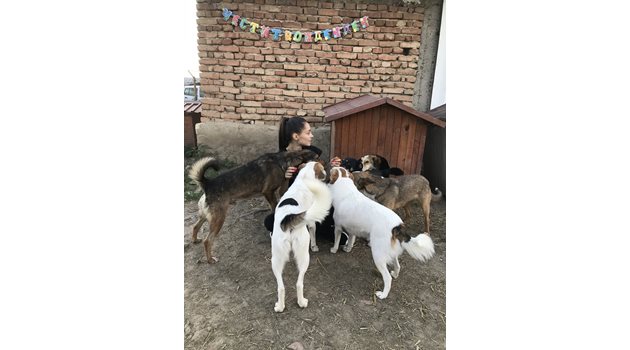Валерия с кучетата в приюта