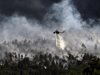 Дъждът потуши повечето от активните горски пожари в Македония