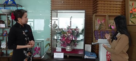 Пекинско копринено цвете - Цветя, които не увяхват (Видео)