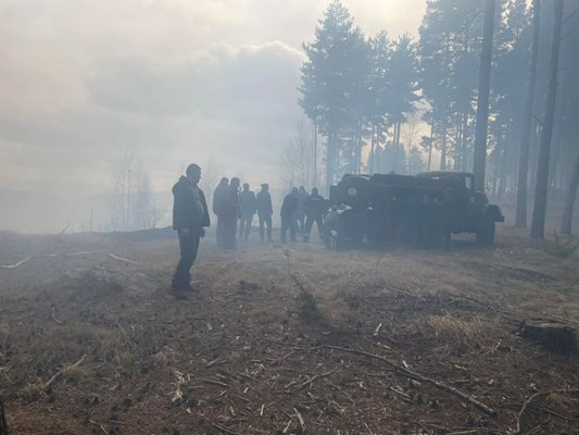 Голям пожар край Сатовча, служители на „ДЛС Дикчан" се борят с огъня.