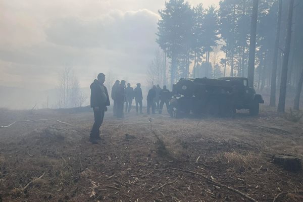 Голям пожар край Сатовча, служители на „ДЛС Дикчан" се борят с огъня.