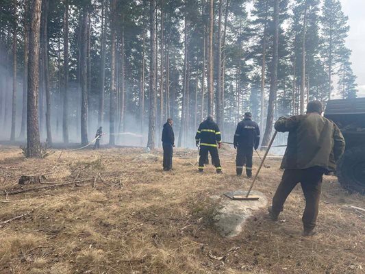 Голям пожар край Сатовча! Служители на „ДЛС Дикчан" се борят с огъня.