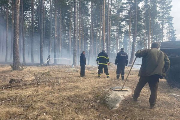 Голям пожар край Сатовча! Служители на „ДЛС Дикчан" се борят с огъня.