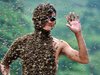 Алергията към пчели рядко се проявява от първия път