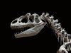 Рядък скелет на динозавър продават на търг в Париж