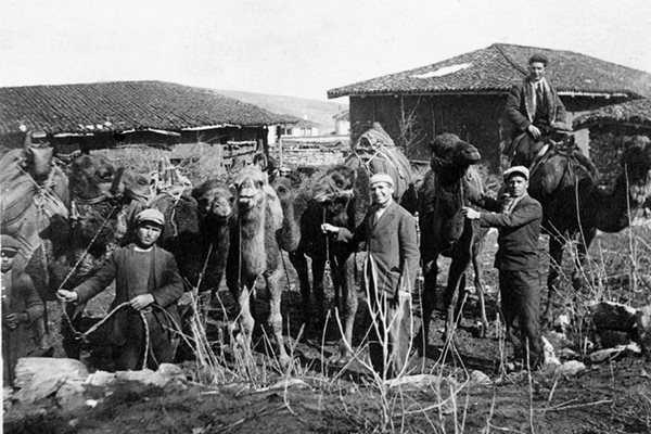 Заради камилите дълго време хората от Тополовград били известни с прозвището камиларите.