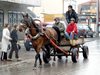Конфискуваха каруца в Пловдив, стопанинът й отнесе две акта за 400 лв.
