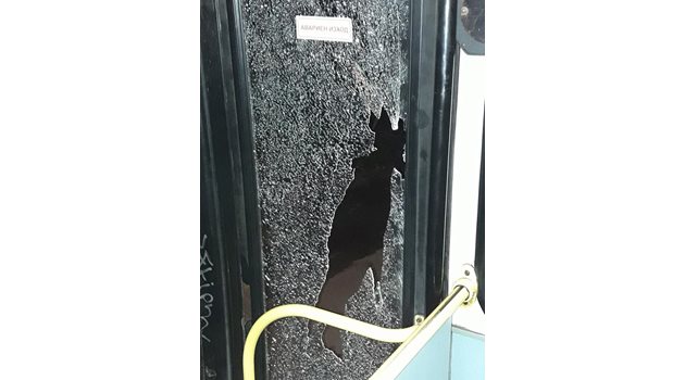 Стъклото на автобуса се пропукало и по-късно счупило от нападението. СНИМКИ: Фейсбук/Мартин Александров