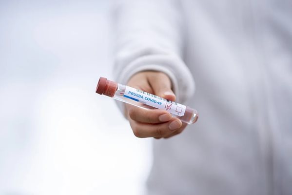 Кръвна проба за коронавирус Снимка: Пиксабей