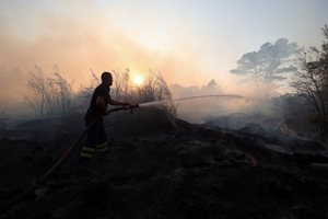 Вече седмица Албания се бори с пожар в горски масив (Снимки)