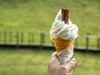 Евростат: Българинът консумира средно по 3,5 литра сладолед годишно