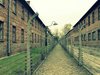Полски тв коментатор праща бежанците в Аушвиц