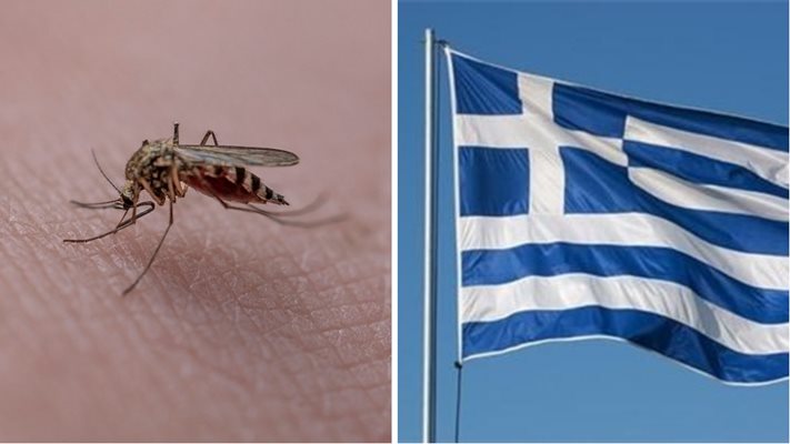 ЛОШО! Първи случай на инфекция на западнонилска треска в Гърция