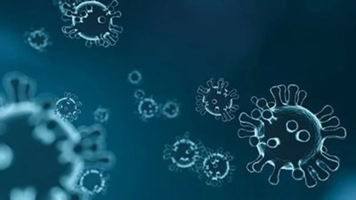 Канадска биофармацевтична компания е изработила прототип на ваксина срещу коронавируса СНИМКА: Pixabay