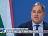 Унгарският министър на икономиката се обяви против временните изравнителни мита на ЕС за вноса на китайски електромобили