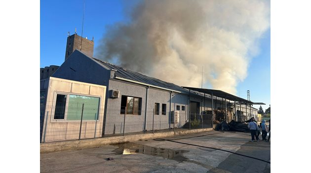 Пожарът е лумнал в производственото хале на фирма за търговия с ядки в Северната промишлена зона на Карнобат.