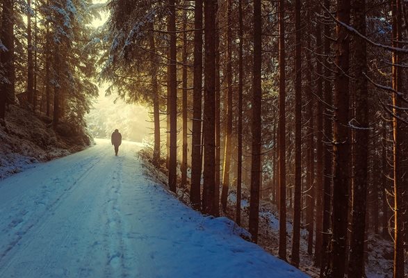 Липсата на сняг прави по-трудни коледните забавления на открито, но и кратка бърза разходка е достатъчна за здравето.