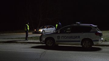 Разследват жестоко убийство на котка в село Комарево