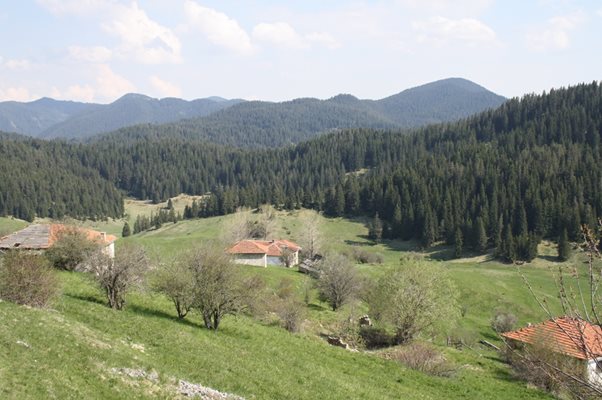 Обезлюденото село Чамла, където е регистрирана фирма на Людмил Петров.