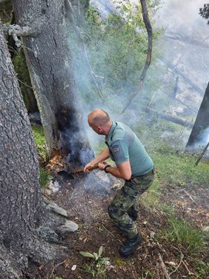 Горски, военни и пожарникари продължават да гасят огъня от Гърция.