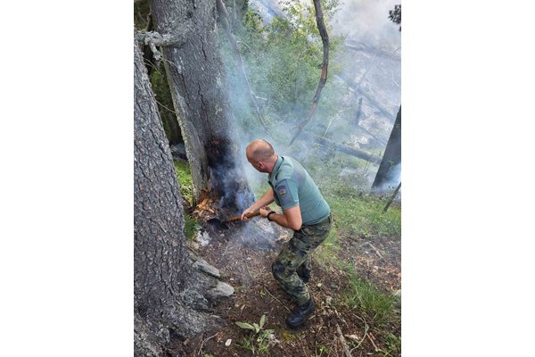 Горски, военни и пожарникари продължават да гасят огъня от Гърция.