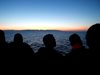 Бреговата охрана на Испания спаси над 200 мигранти