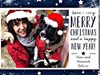 Нина Добрев на картичка с кучето си, вижте честитките и на други известни