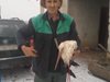 Мъж от Силистренско приюти в дома си премръзнали щъркели (Видео)
