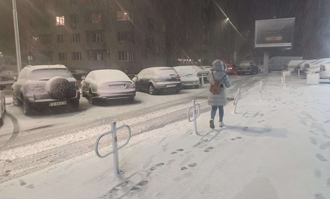Сняг заваля и в София