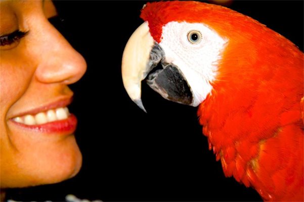 Мария Илиева се снима с папагал, кръстен на нея