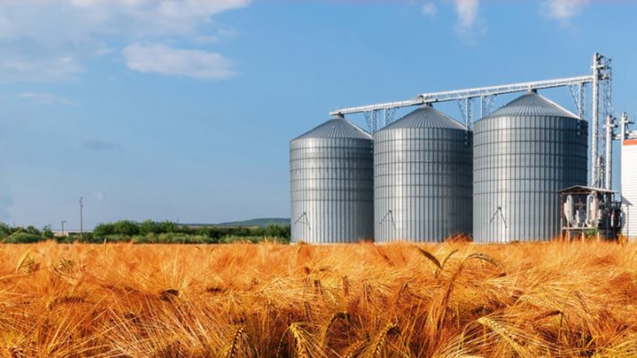 В силозите и складовете у нас в момента има близо 3,5 милиона тона пшеница

Снимка: пиксабей