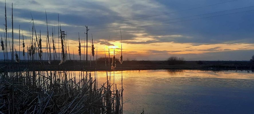 Дълбокият канал край Белозем на залез слънце. Снимка: Ваня Михайлова