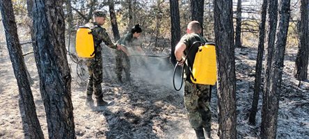 Защо горим? Жена варила компоти и не изгасила огъня, мъж хвърлил фас (Обзор)