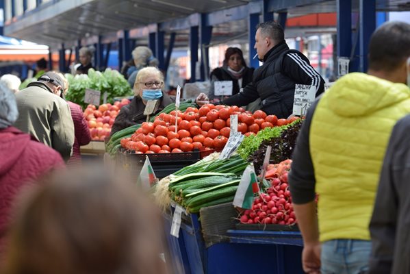 Цената на доматите се очаква да се вдигне значително.