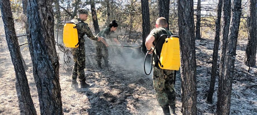 Пожарникари, военни, горски, доброволци се борят с огнената стихия.