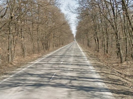 Пътят Исперих - Разград СНИМКА: Google Street View