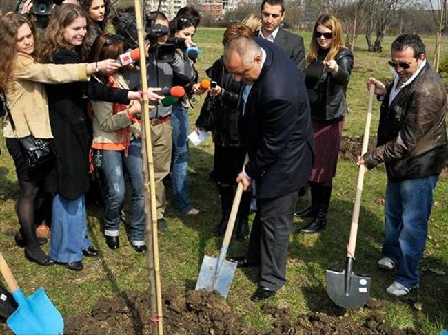 02.04. 2009 Бойко Борисов засади няколко джанки в Студетски град. Така кметът даде старт на гора по повод 130 г. от обявяването на София за столица.