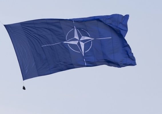 Турция и Гърция подновяват техническите разговори в НАТО СНИМКА: Pixabay

