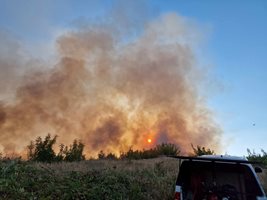 Пожарът край град Ветрен