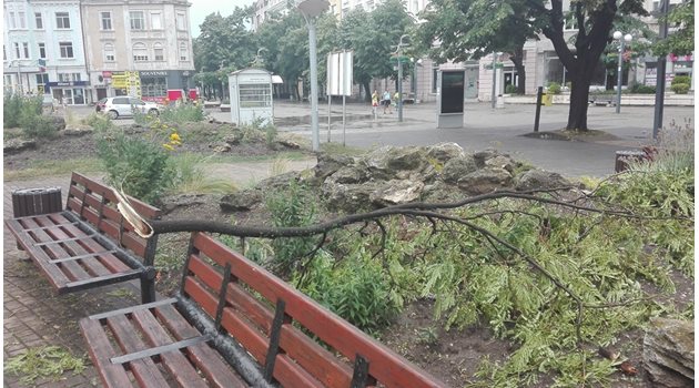 Дърво се е стоварило върху пейка в градинката пред хотел "България". Снимка: Авторът