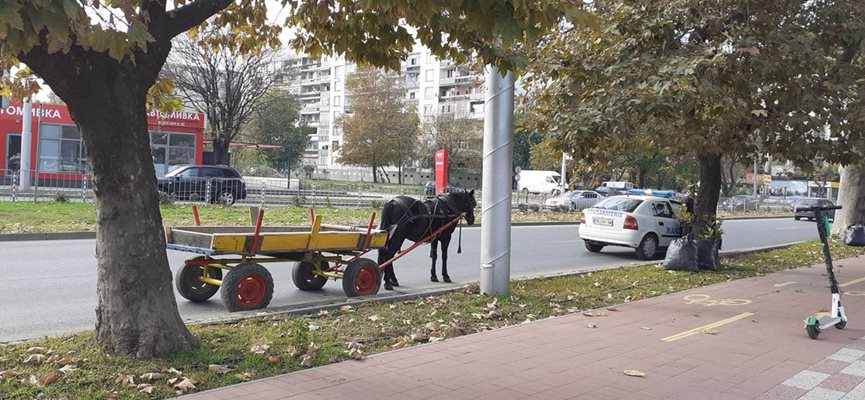 Движението на каруци в центъра на Пловдив е забранено.
