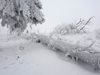 Общо 33 души са загинали заради полярните студове в Европа